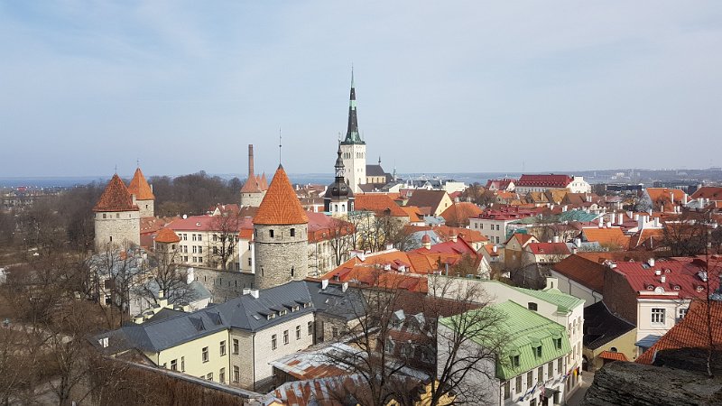 Tallinn (14).jpg